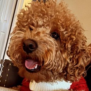 Meet your Posher, Edasia